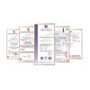 Off-line Chamber Pulse Bag Filter Industrial Pulse Jet Dust Collector for Treatment Machinery Design Dust Collection System
